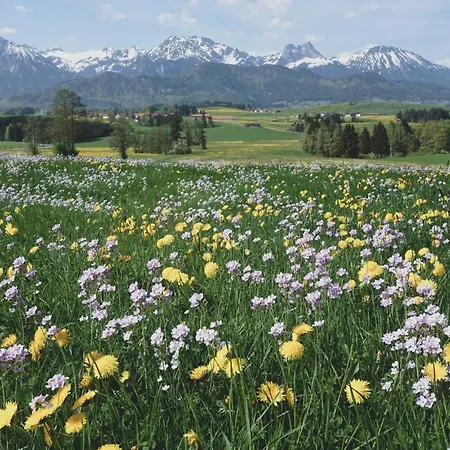 Дом отдыха Gaestehaus Schoeberl