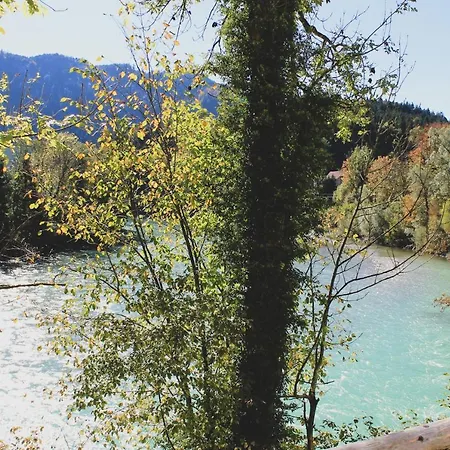 Gaestehaus Schoeberl Tatil Evi *